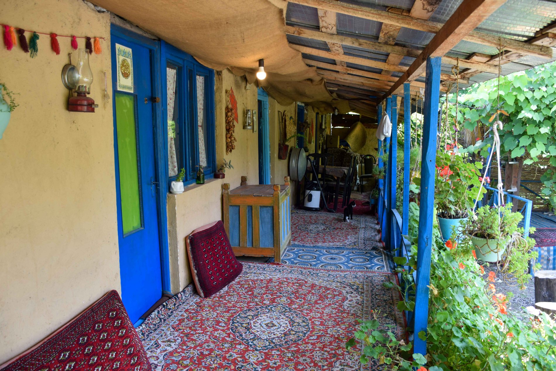 دیلمای - واحد تی شین