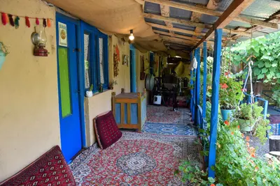 بومگردی دیلمای - واحد تی شین