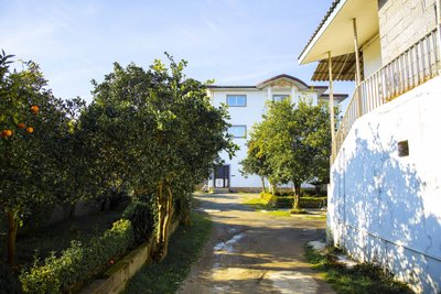 سوئیت یک خوابه مفرد