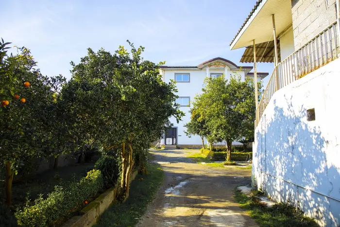 سوئیت یک خوابه مفرد