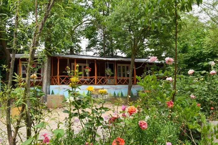 یک خوابه چوبی نجاتی 5