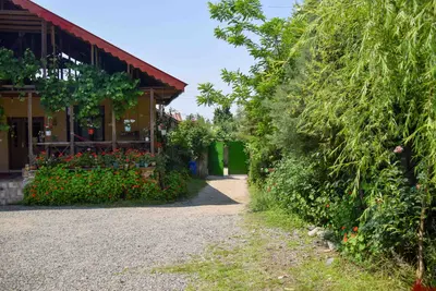 بومگردی دیلمای واحد وارش