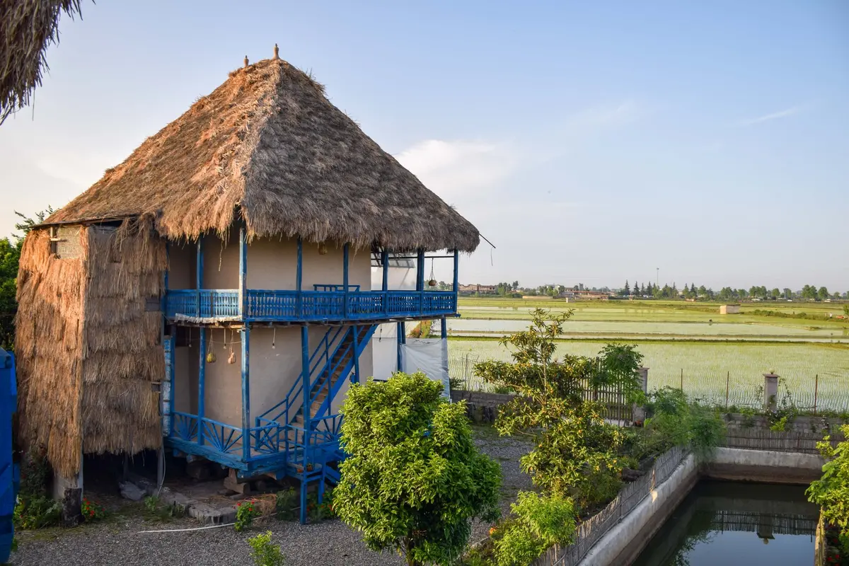 الاسوسو - واحد وار انبو