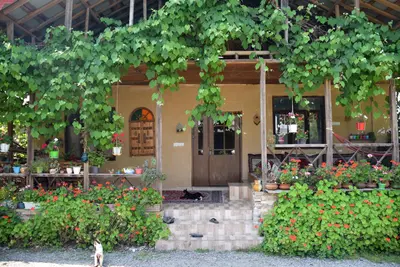 بومگردی دیلمای - واحد ماسو