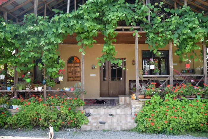 بوم گردی دیلمای - واحد ماسو