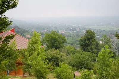 بومگردی بام گلسرک - واحد قاصدک