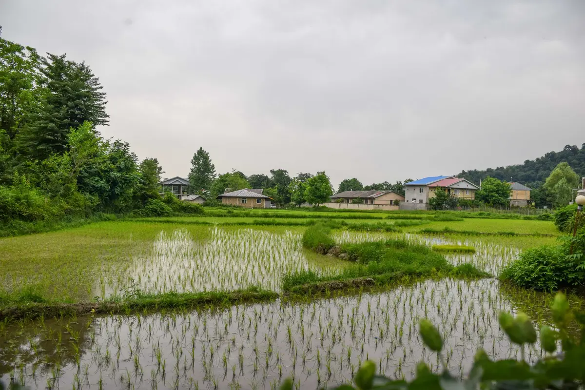 یک خوابه چوبی نجاتی 5