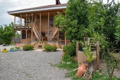 بومگردی می جان - واحد چلچله