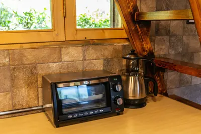 کلبه یک خوابه جکوزی دار جنگلی دهلی