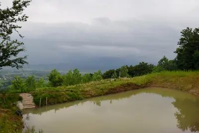 بومگردی بام گلسرک - واحد قاصدک