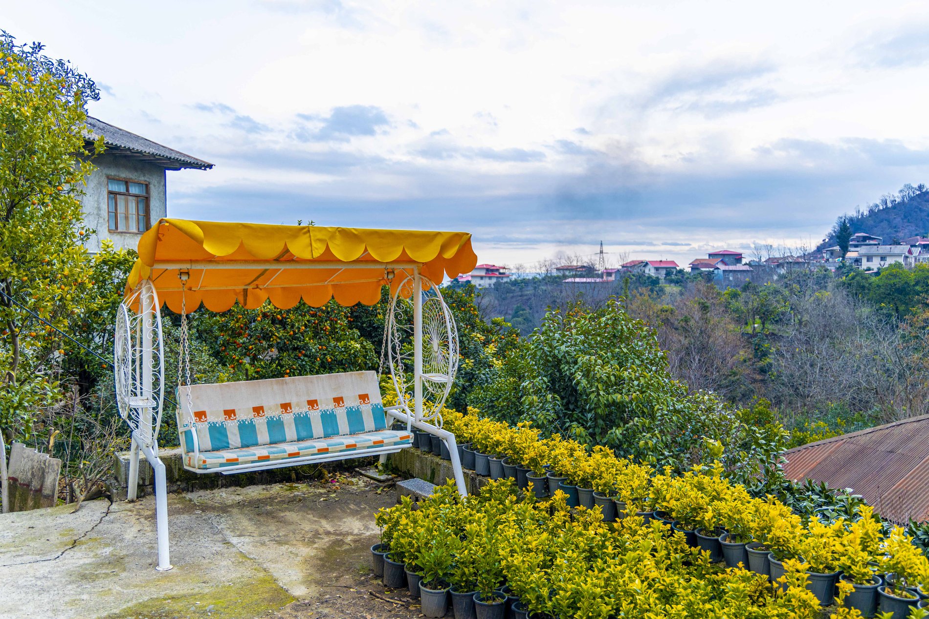 سوئیت دوخوابه جنگلی سورخانی 1