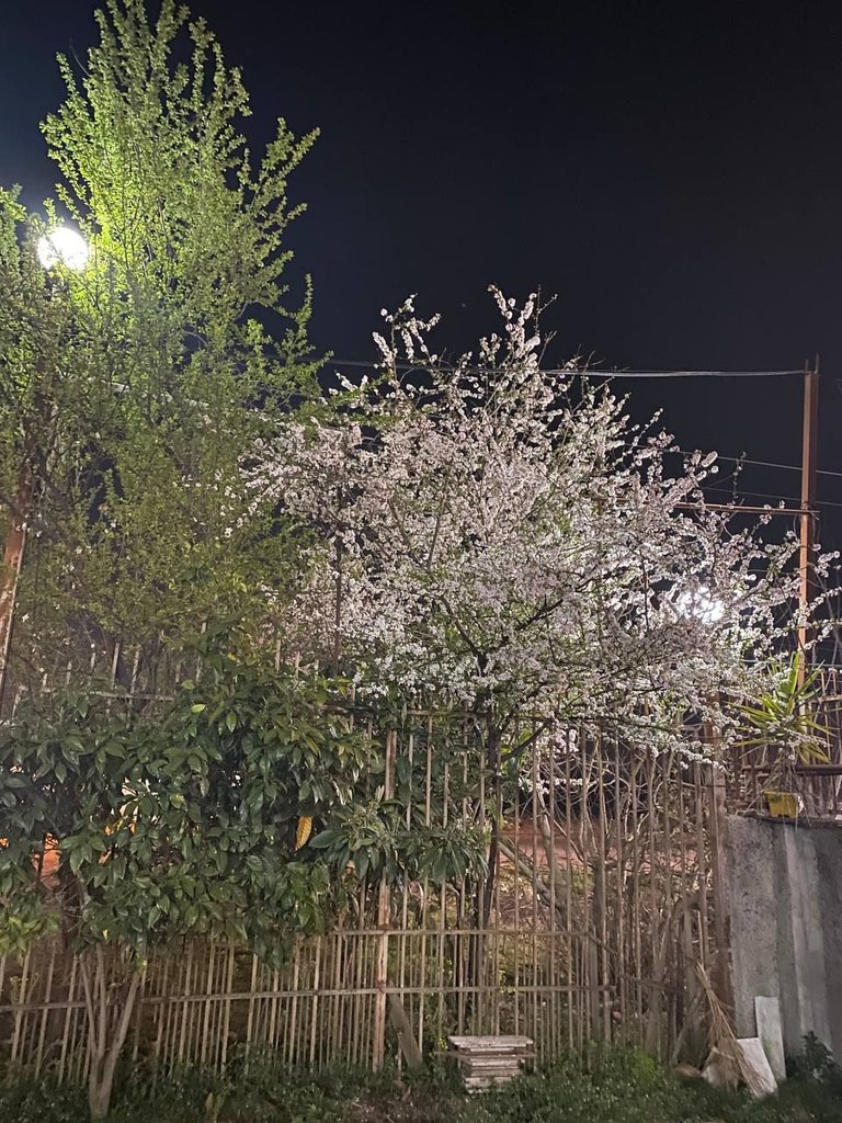 آپارتمان یک خوابه خورشید 1