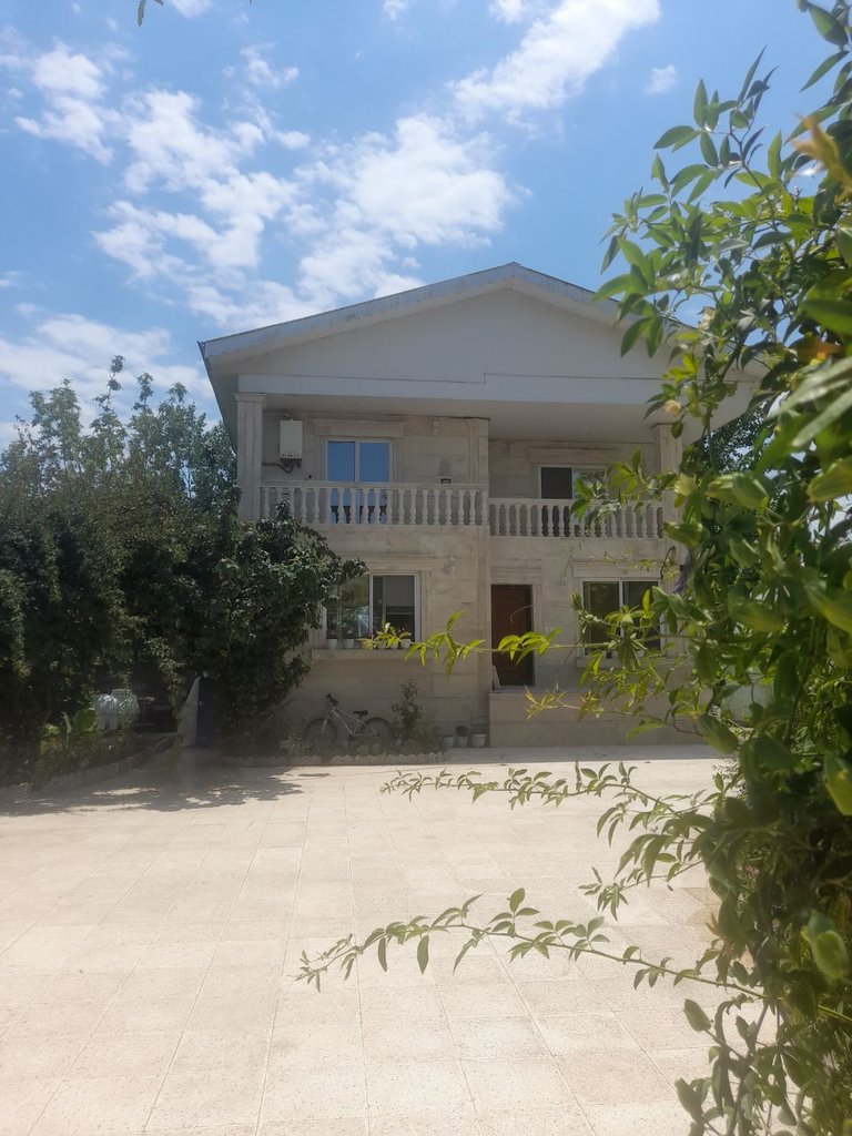 یک خوابه صنوبر سبز