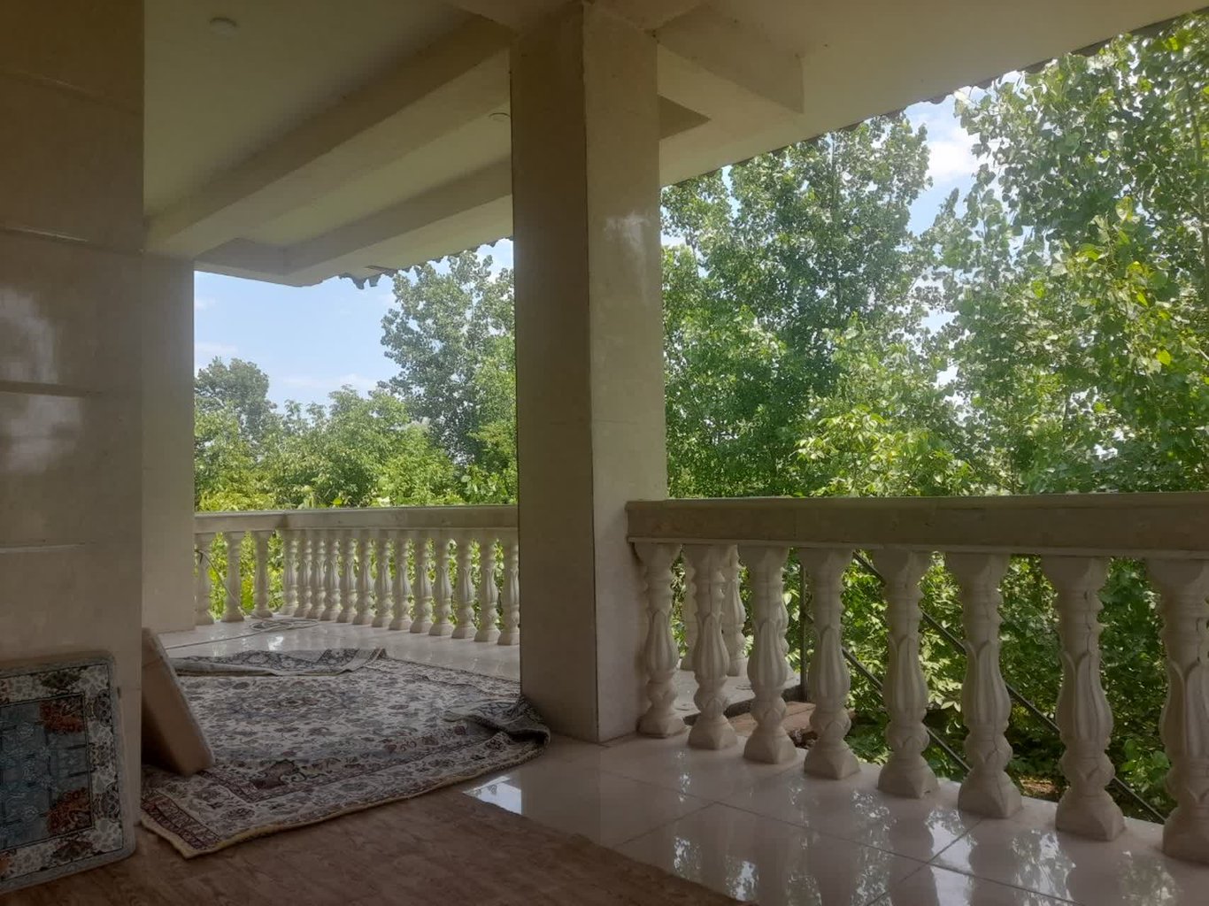 یک خوابه صنوبر سبز