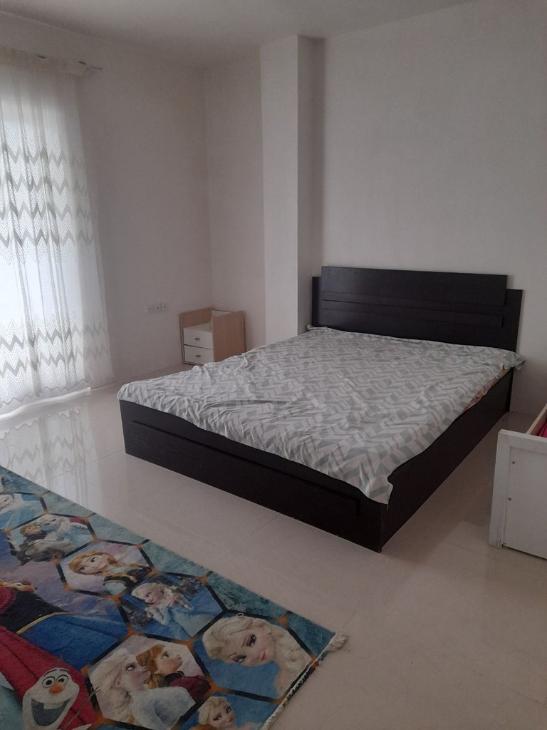 یک خوابه صنوبر سبز