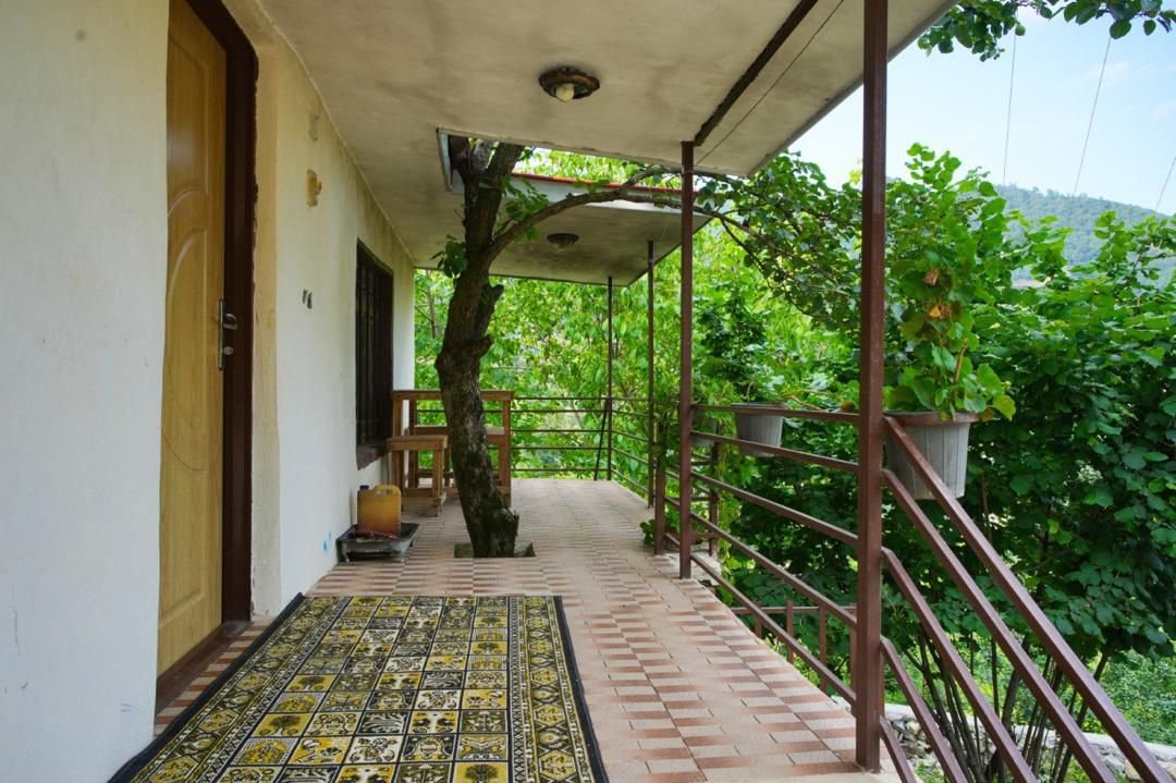 یک خوابه جنگلی پورامید