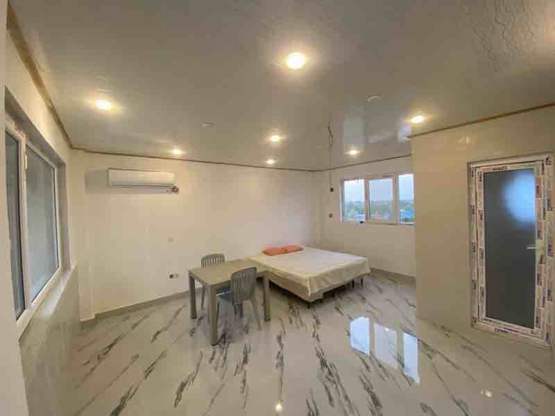 فلت شاه نشین