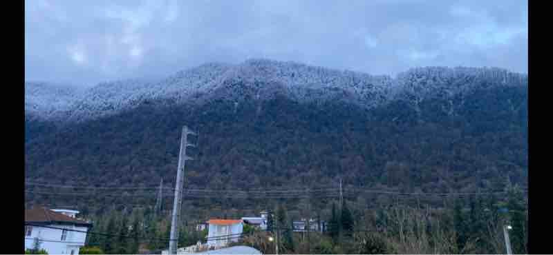 فلت شاه نشین