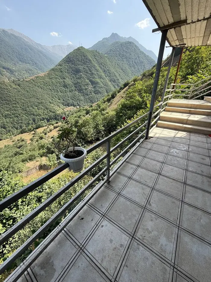 سوئیت فلت جنگلی سردشتی