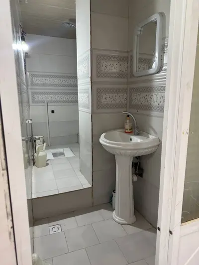 سوئیت فلت جنگلی سردشتی