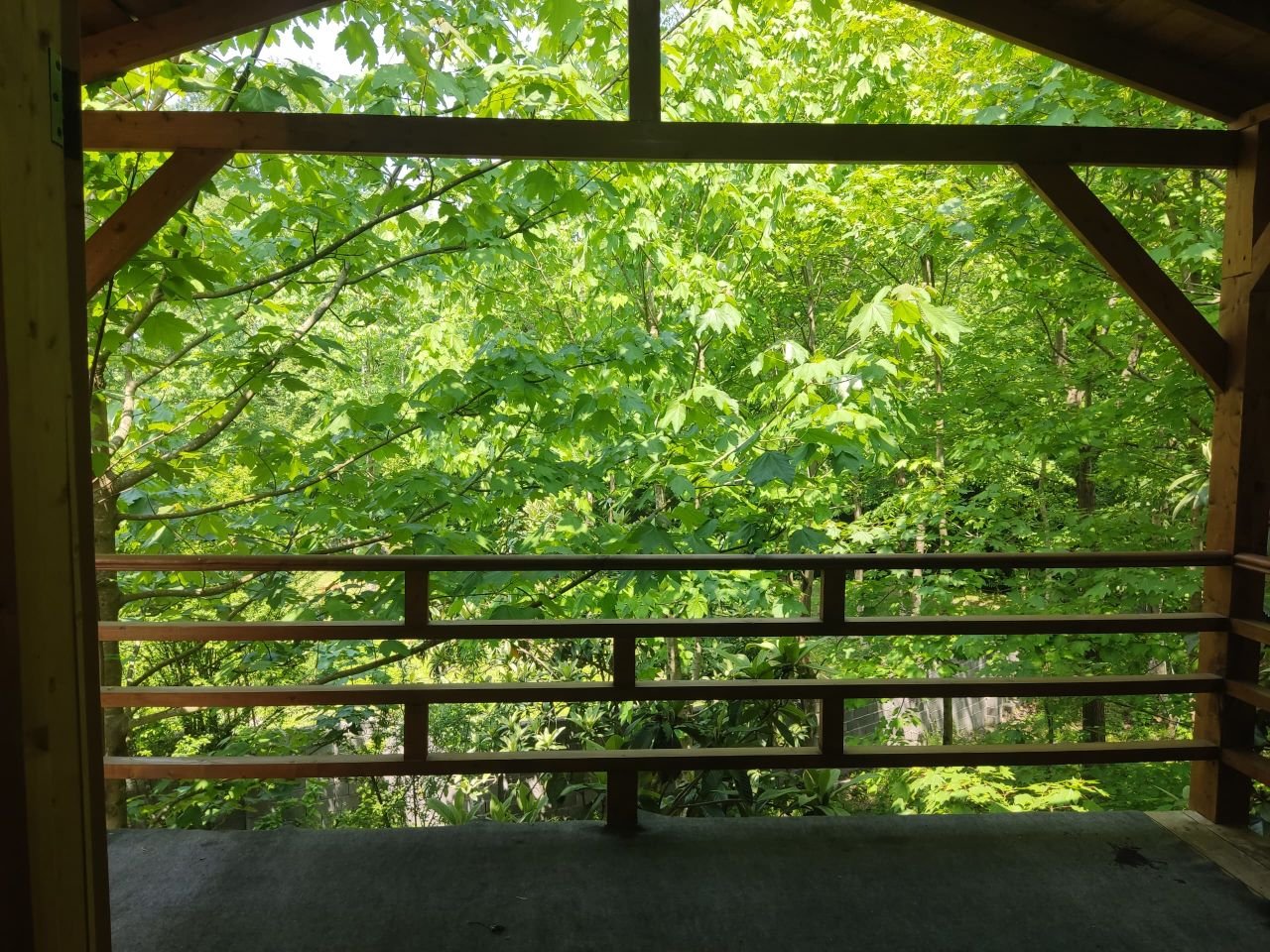 یک خوابه جنگلی رادمان 101