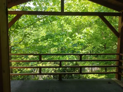 کلبه یک خوابه جنگلی رادمان 101