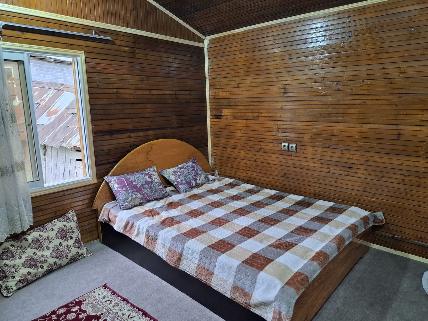 یک خوابه جنگلی بنفشه 2