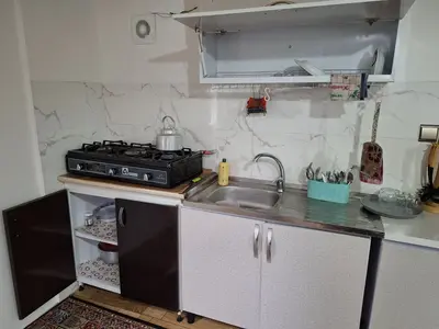 کلبه یک خوابه جنگلی بنفشه 2