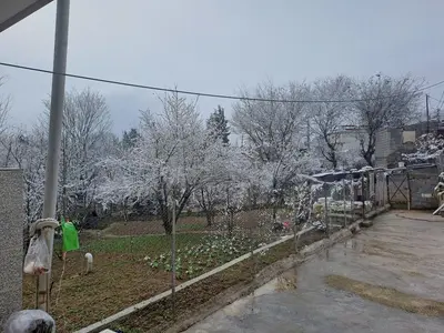 سوئیت یک خوابه انیرانی