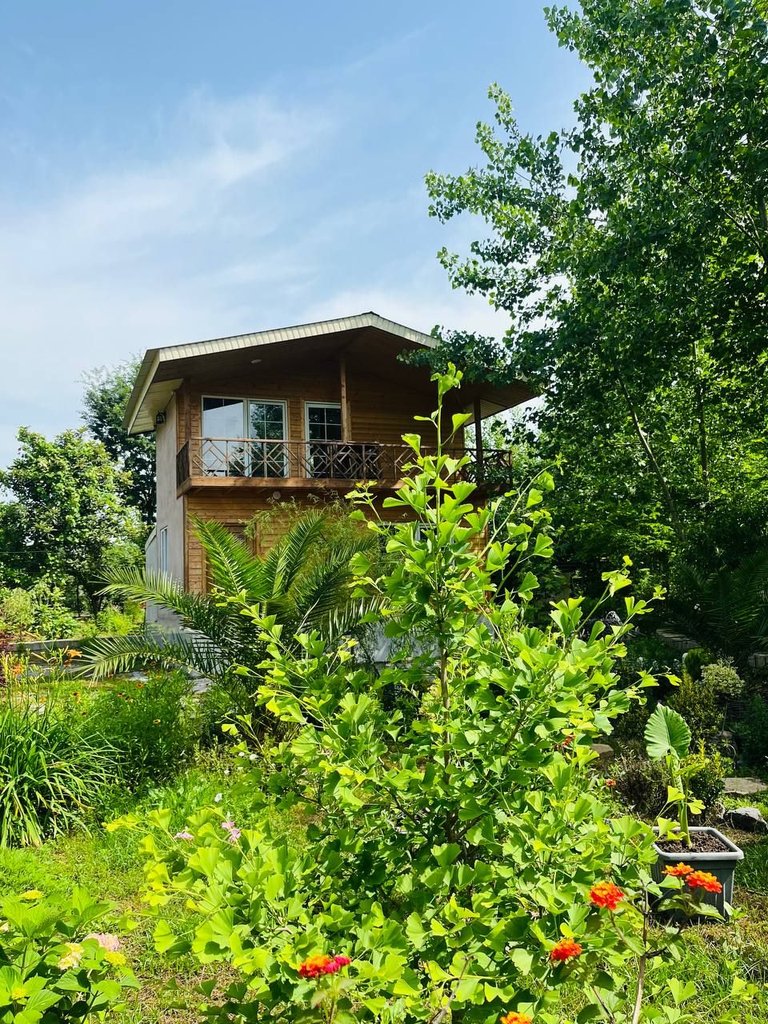 دوبلکس دوخوابه چوبی رودخانه 2