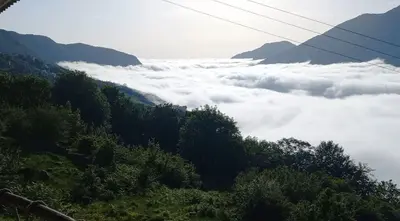 ویلا یک خوابه طبیعت 15