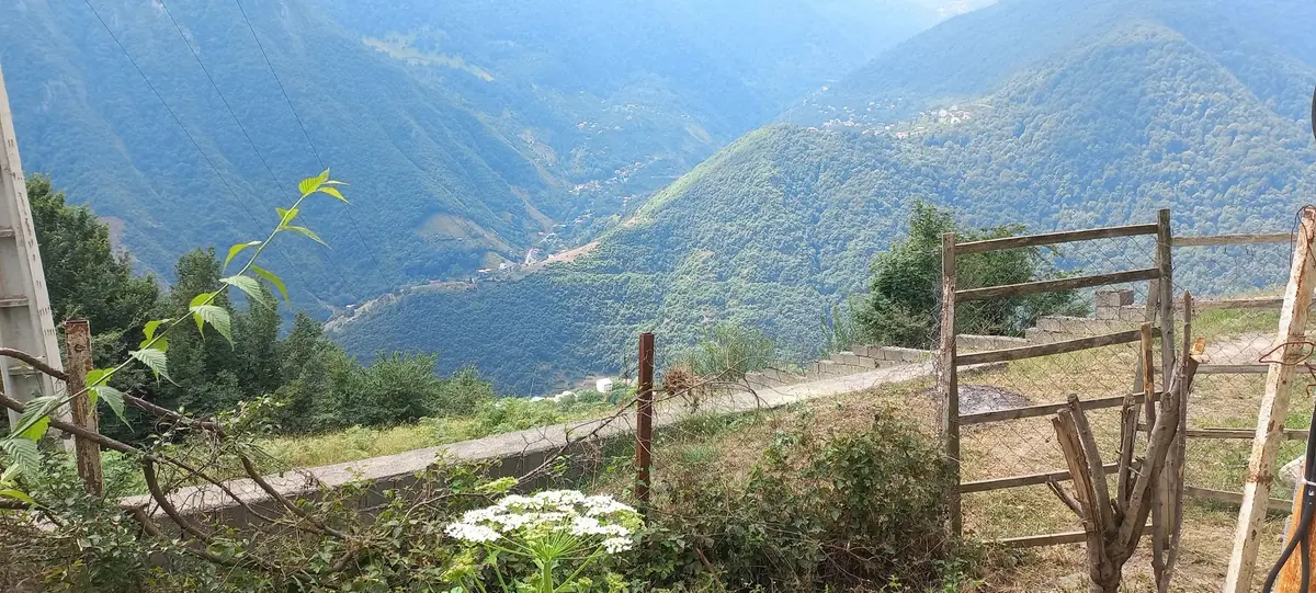 ویلا یک خوابه طبیعت 15