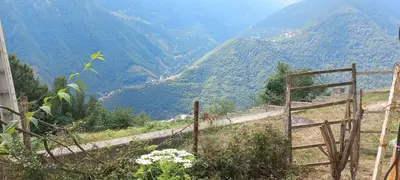 ویلا یک خوابه طبیعت 15