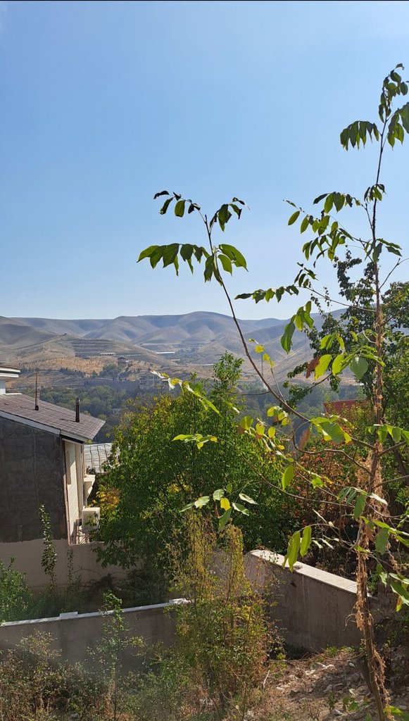 فلت روستایی مراء