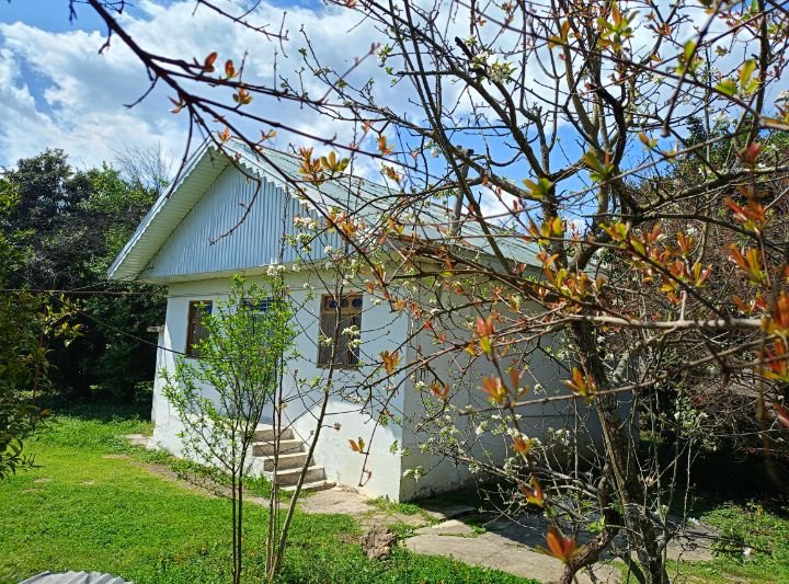 ویلا یک خوابه ممتاز