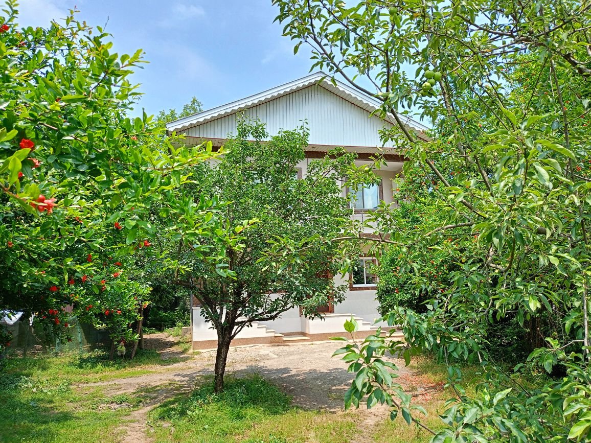 یک خوابه ماکلوان