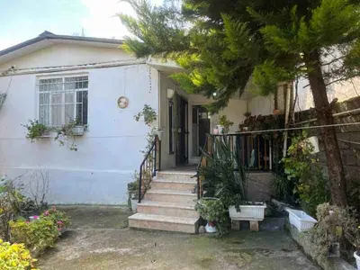 ویلا یک خوابه سبز روشا