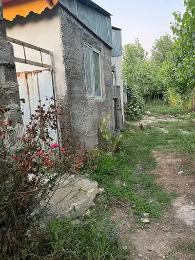 سوئیت یک خوابه مریدی