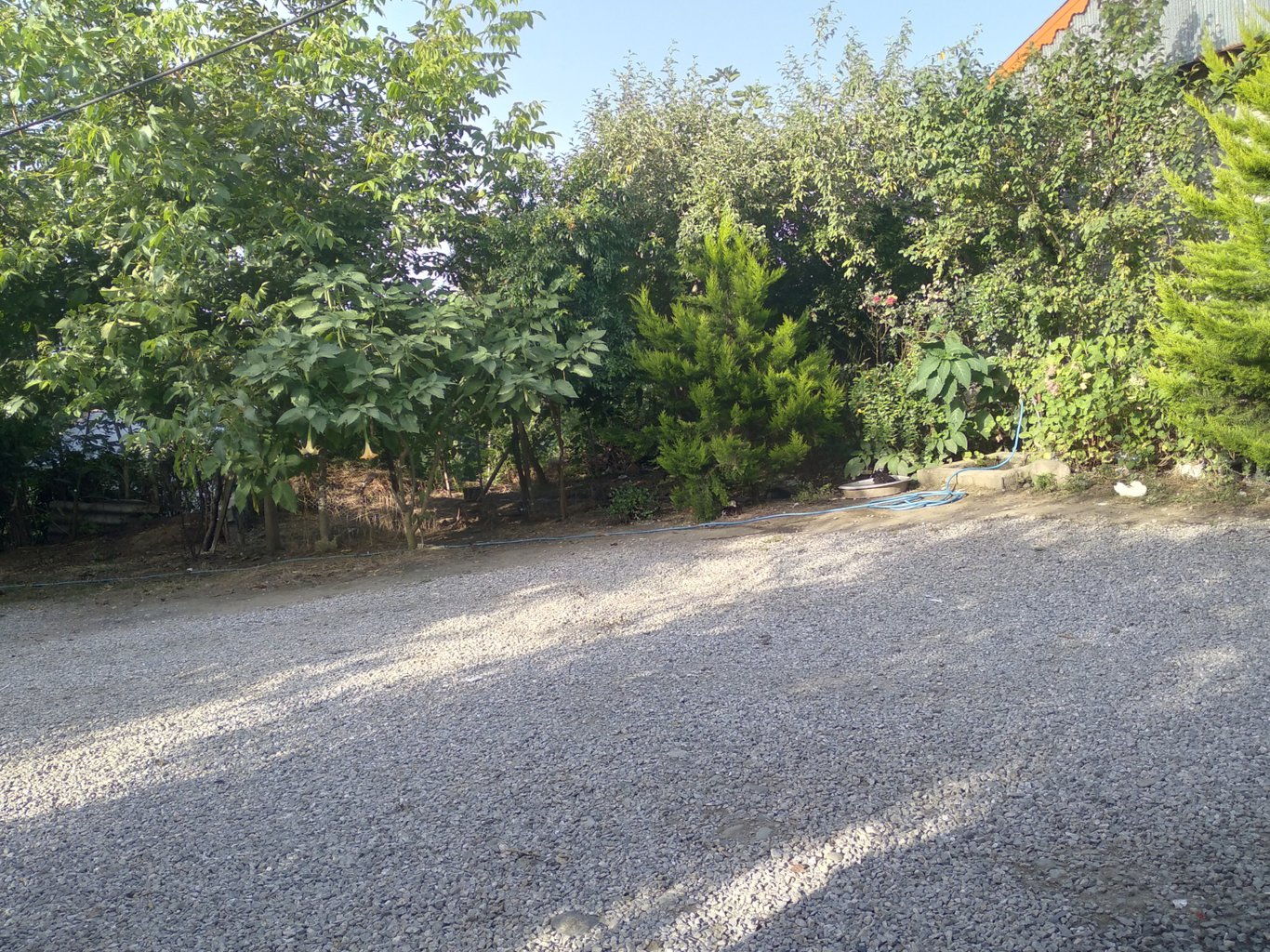 ویلا دوخوابه استخردار گیسوم