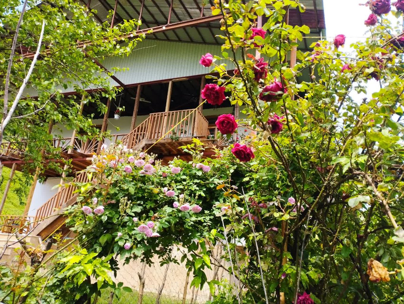 ویلا دوخوابه جنگلی فوشه