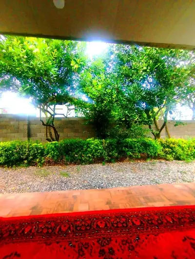 کلبه یک خوابه مجدی