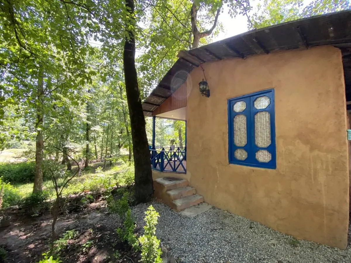 فلت جنگلی شوپه 3