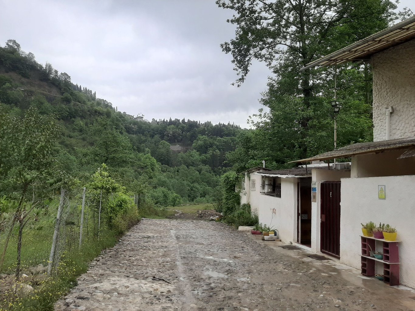 سوئیت دوخوابه کوه سبز 3