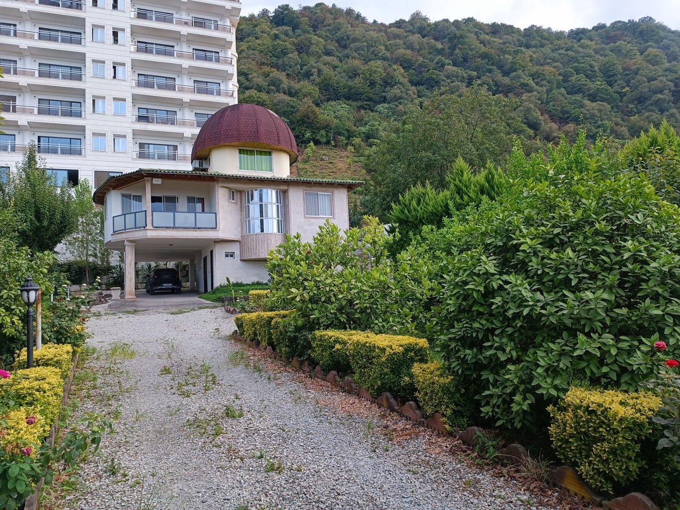 سوئیت یک خوابه جنگلی گلسار 4