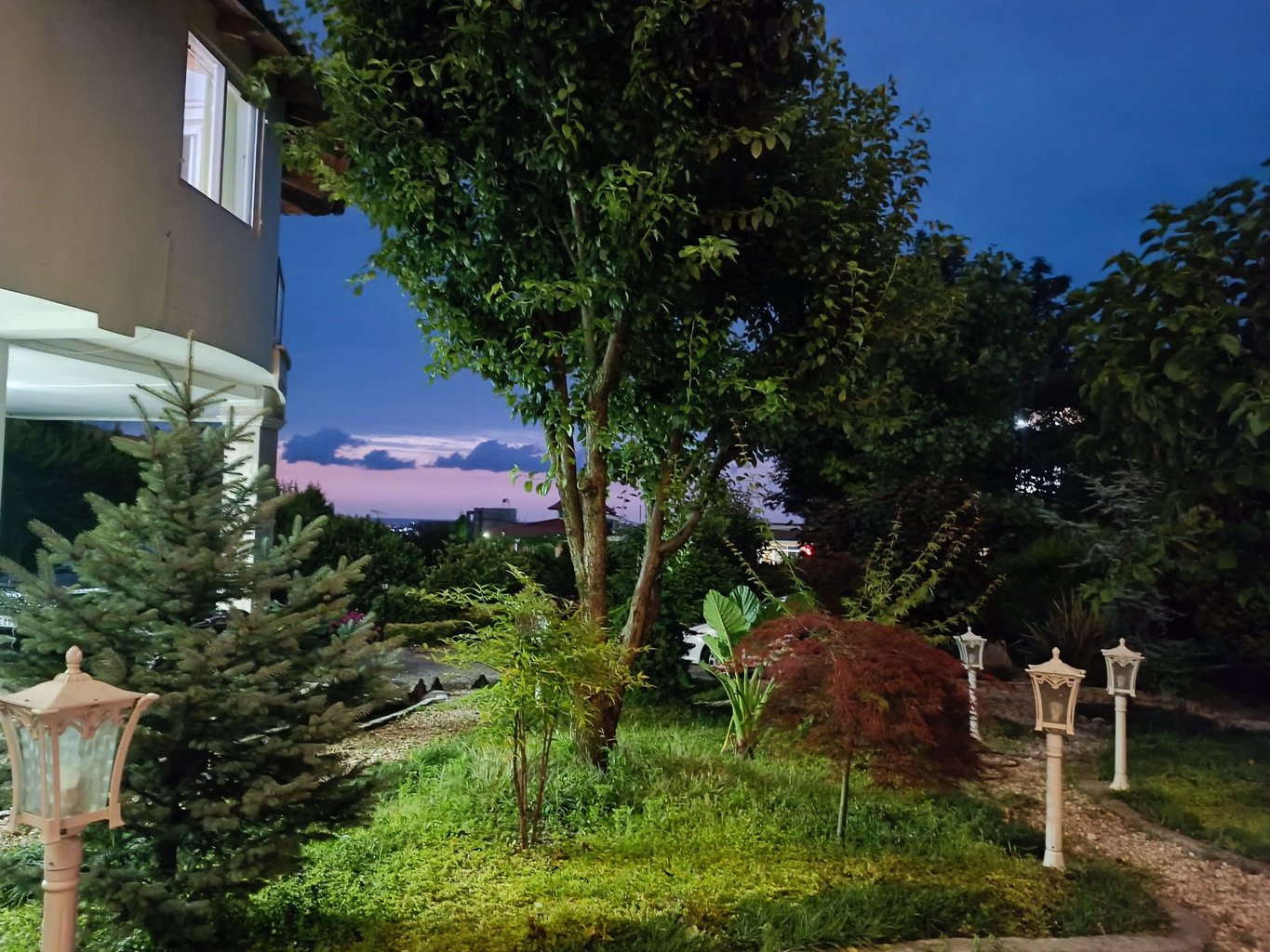 سوئیت یک خوابه جنگلی گلسار 4