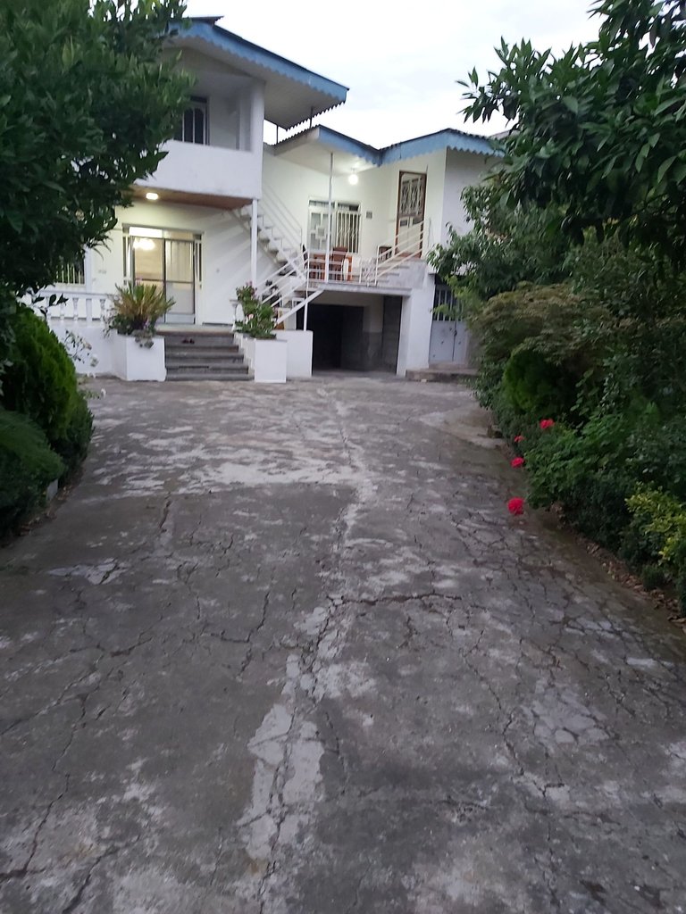 سوئیت یک خوابه هاشمی 5