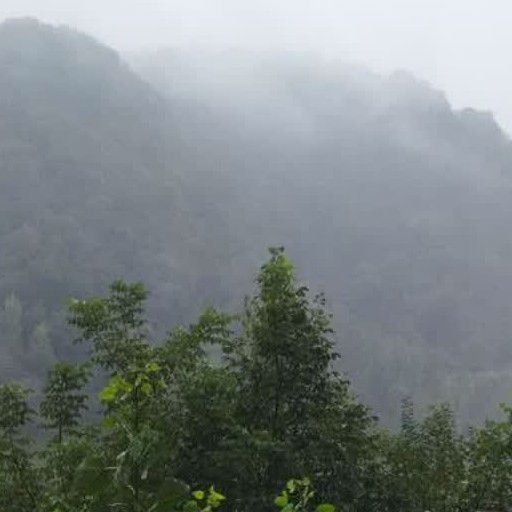 رحمت 