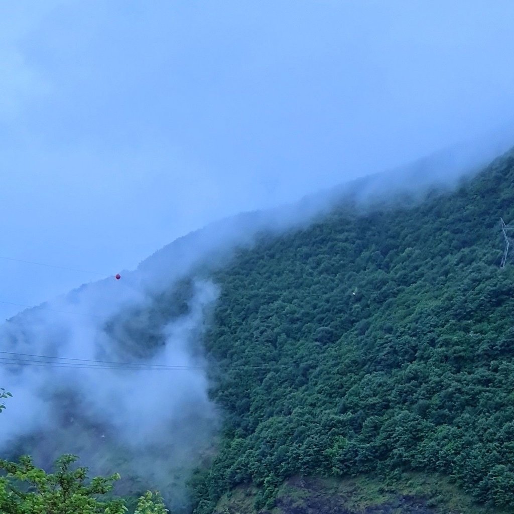 تصویر پروفایل میزبان