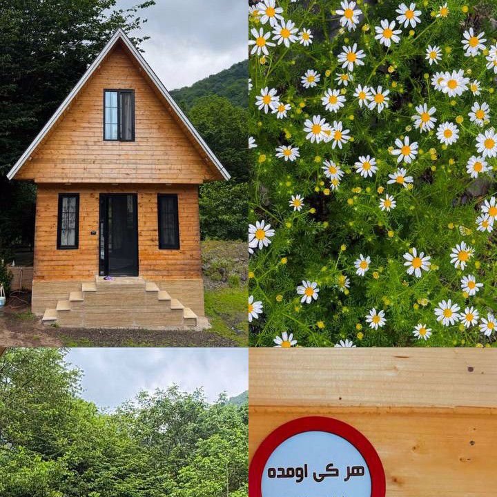 تصویر پروفایل میزبان