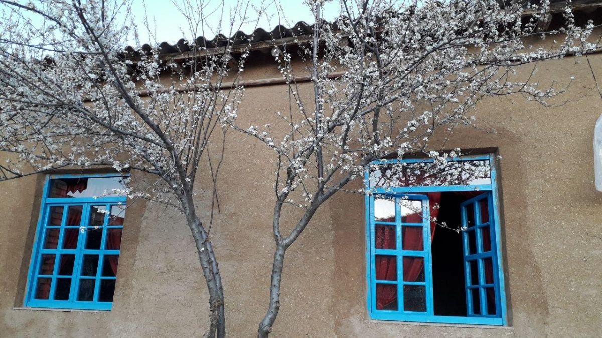 بوم گردی ننه بی بی - واحد زنبق